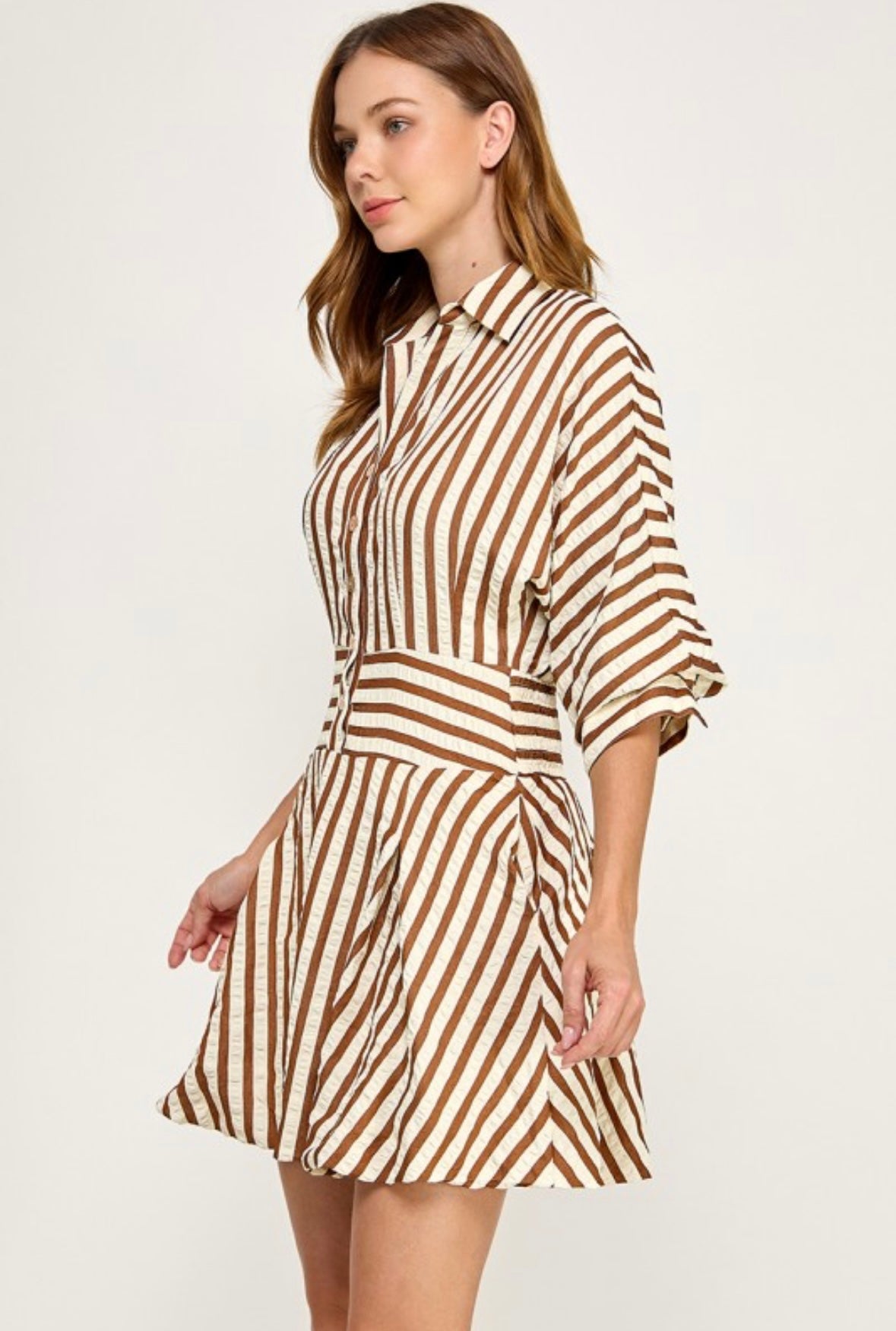 Brown & White Striped Shirt Dress