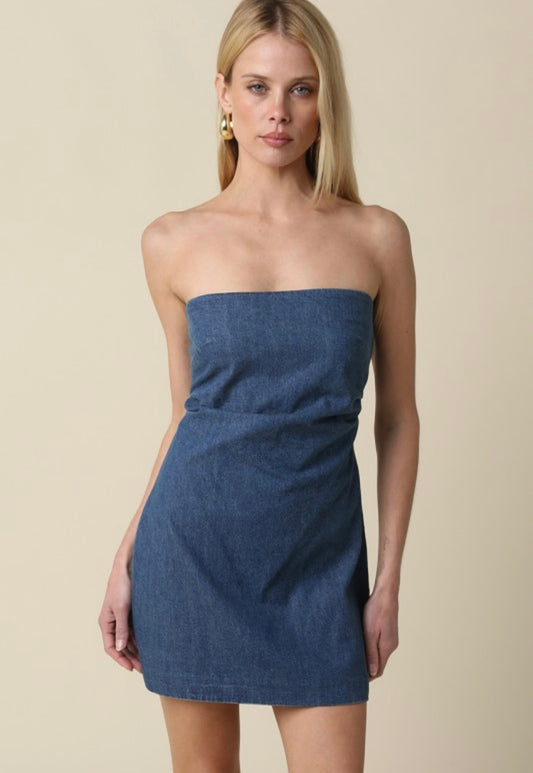 Damsel in Denim Dress