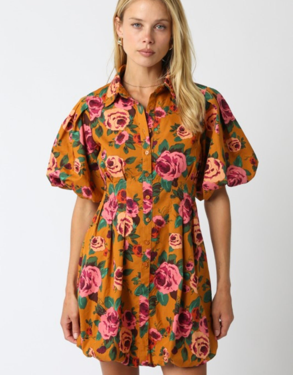 Beauty of Autumn Dress