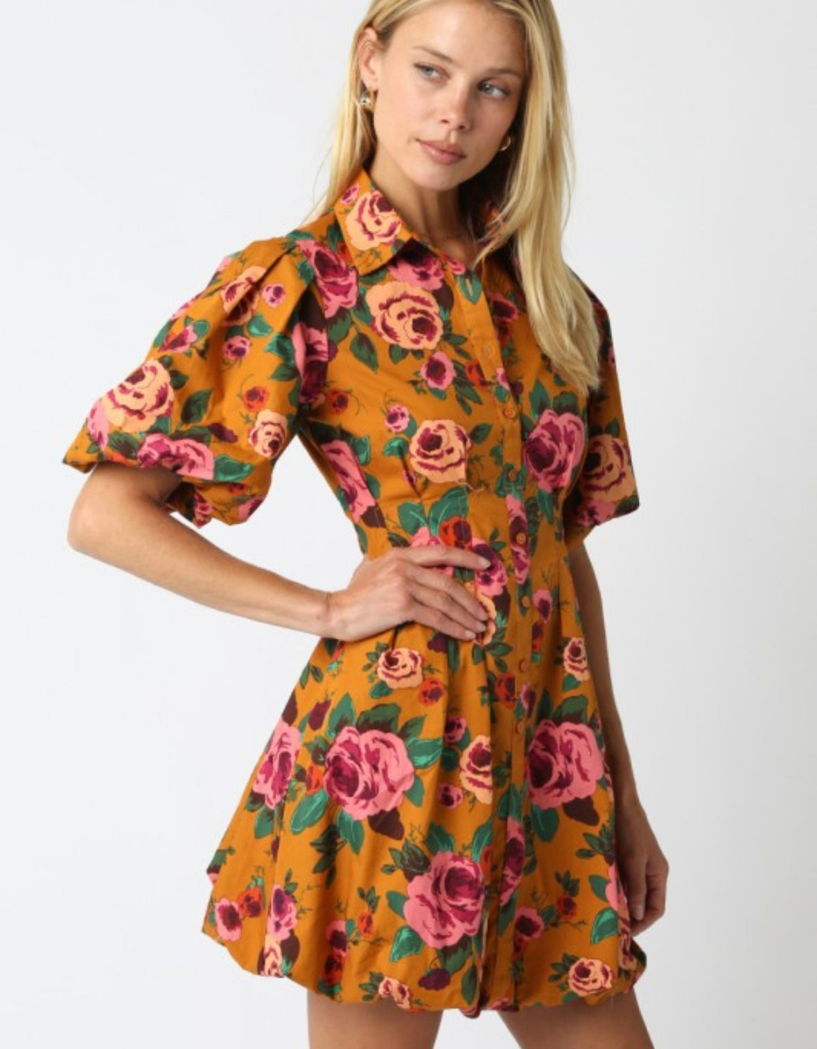 Beauty of Autumn Dress