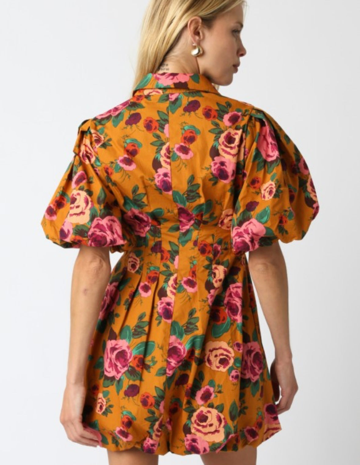 Beauty of Autumn Dress