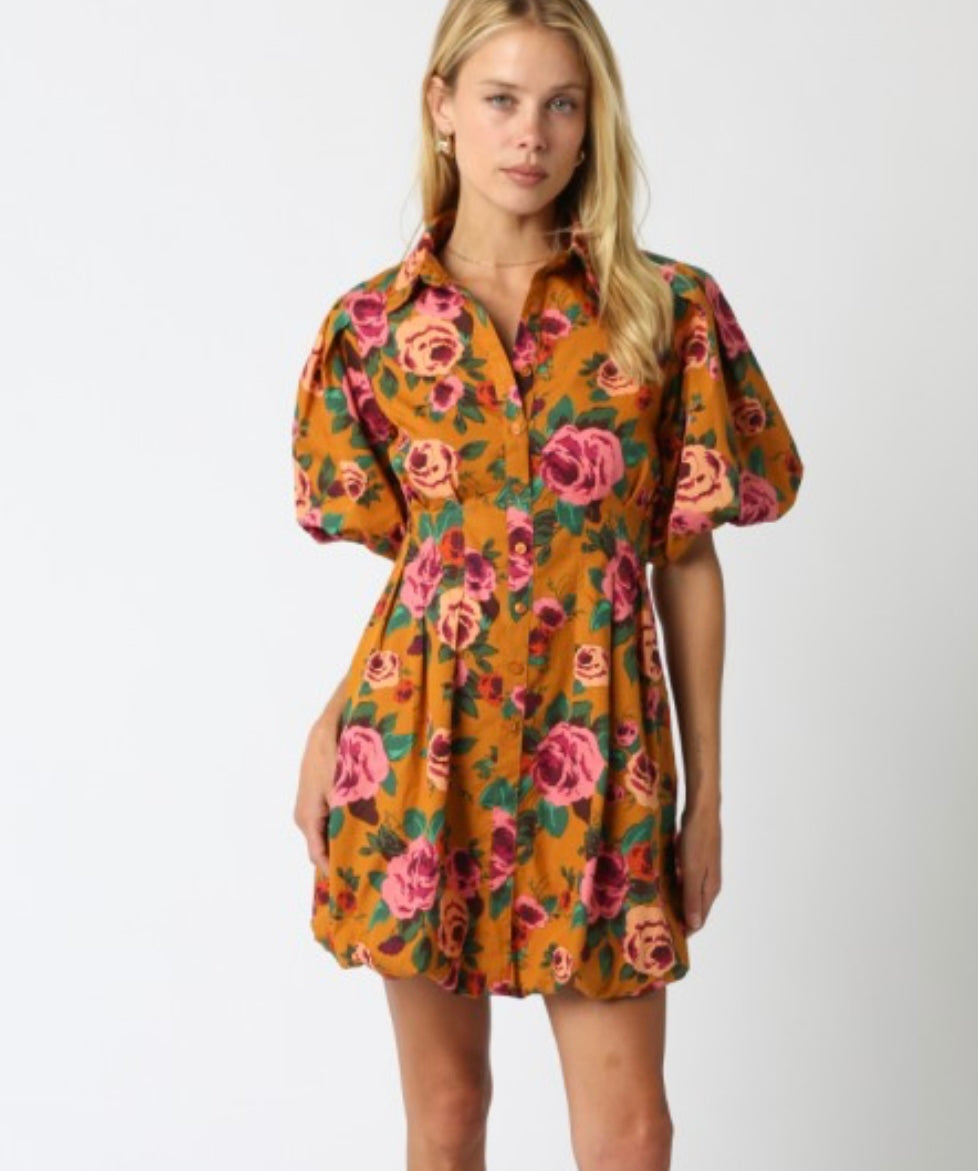 Beauty of Autumn Dress