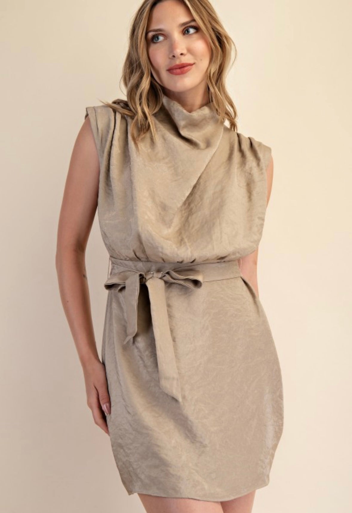 Truly Timeless Dress