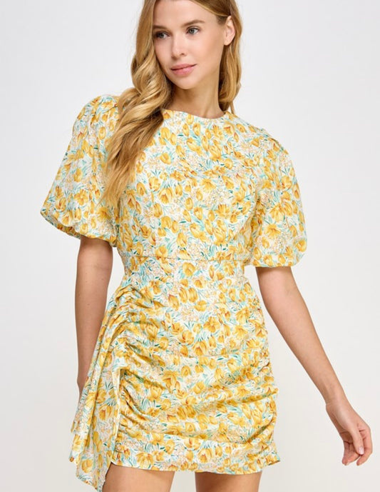 Covered in Happiness Dress